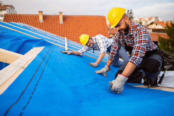 Best Metal Roofing Contractor  in Henderson, LA